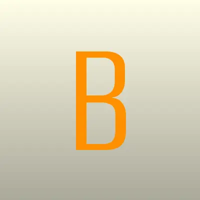 BORBOT, магазин стильной одежды для девушек, лого-визитка