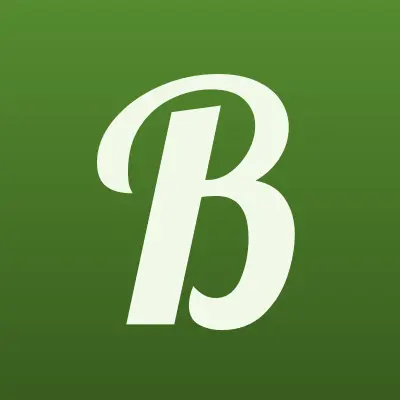 Borbot_men, магазин мужской одежды, лого-визитка
