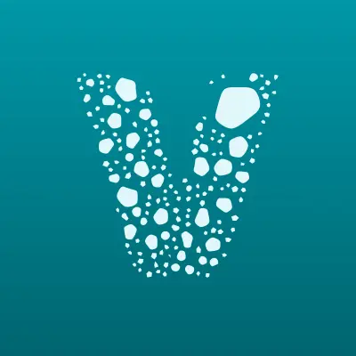 Videoline, компания по установке систем видеонаблюдения, лого-визитка